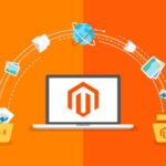 Magento Companies: All You Need To Know!